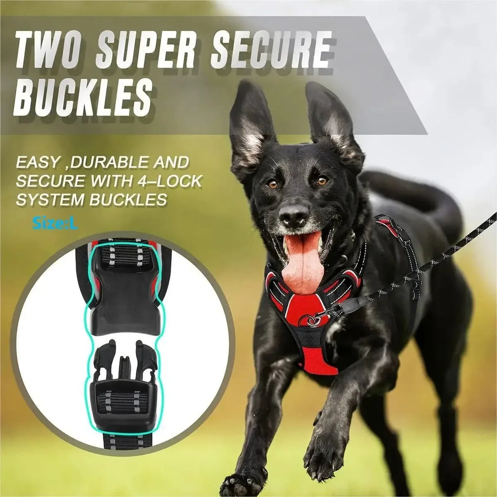 Dog Harness & Collar Set