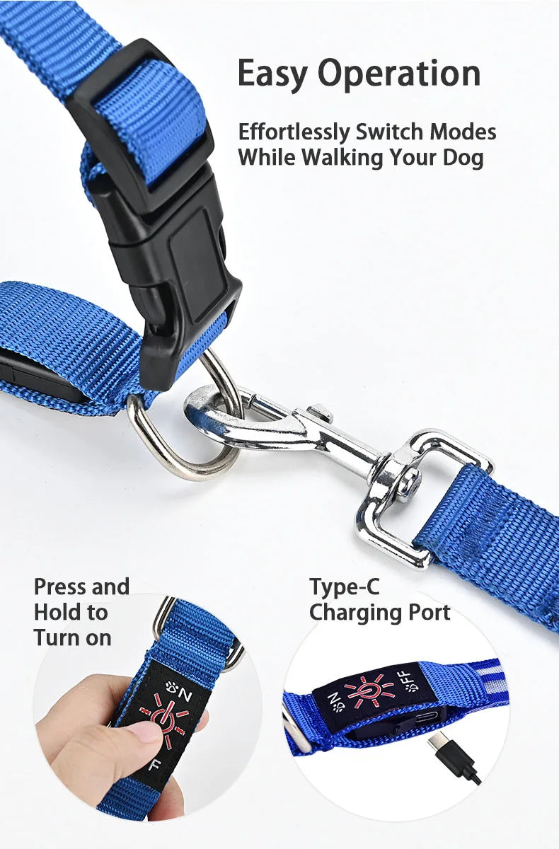 Rechargeable LED Dog Collar