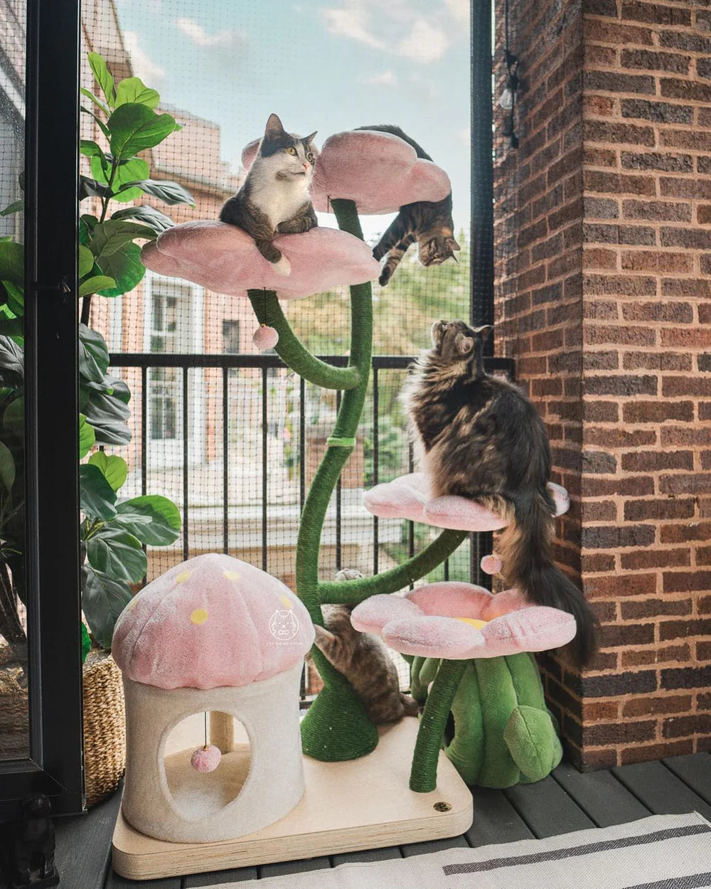 Luxury Modern Cat Climbing Condo